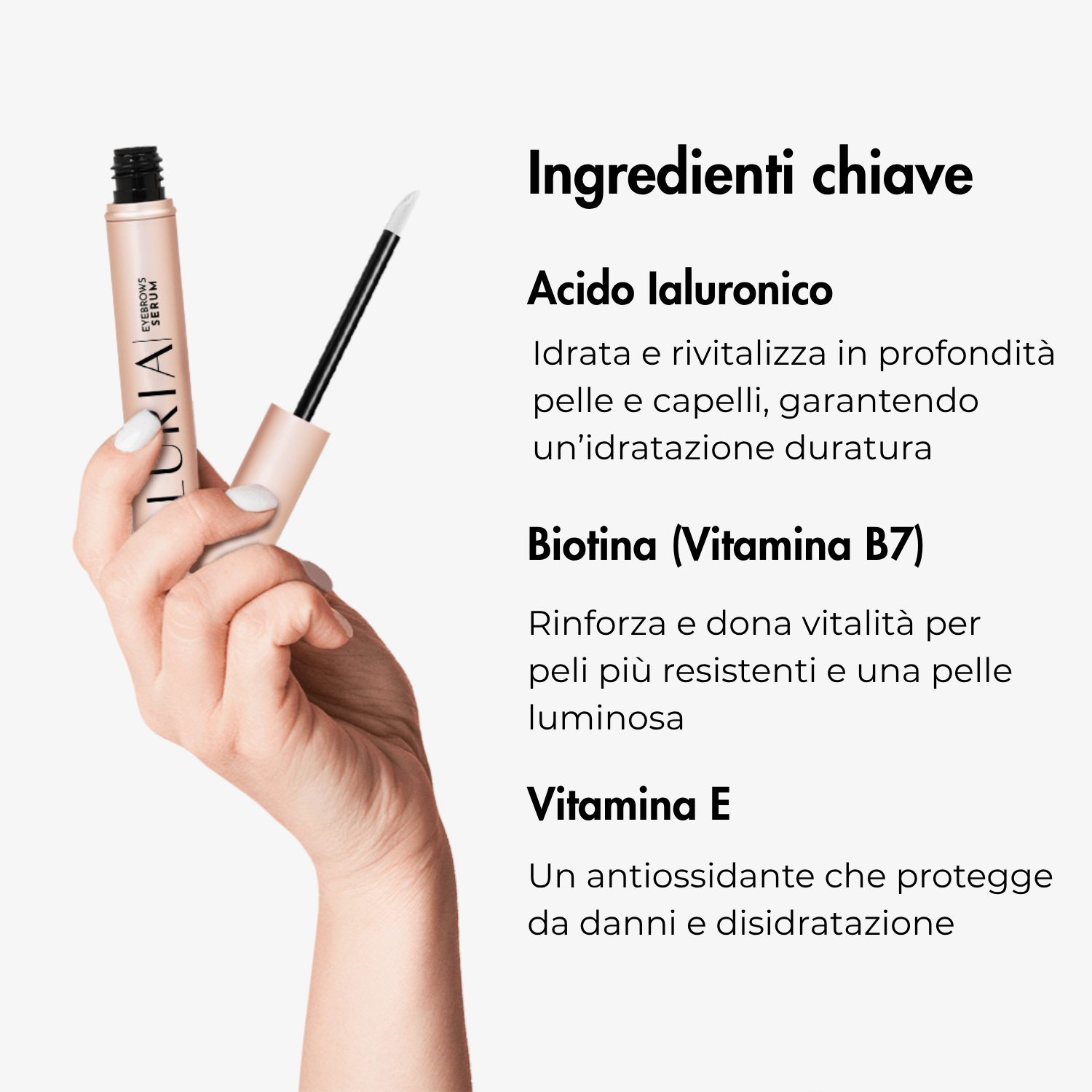 Duo Ciglia & Sopracciglia