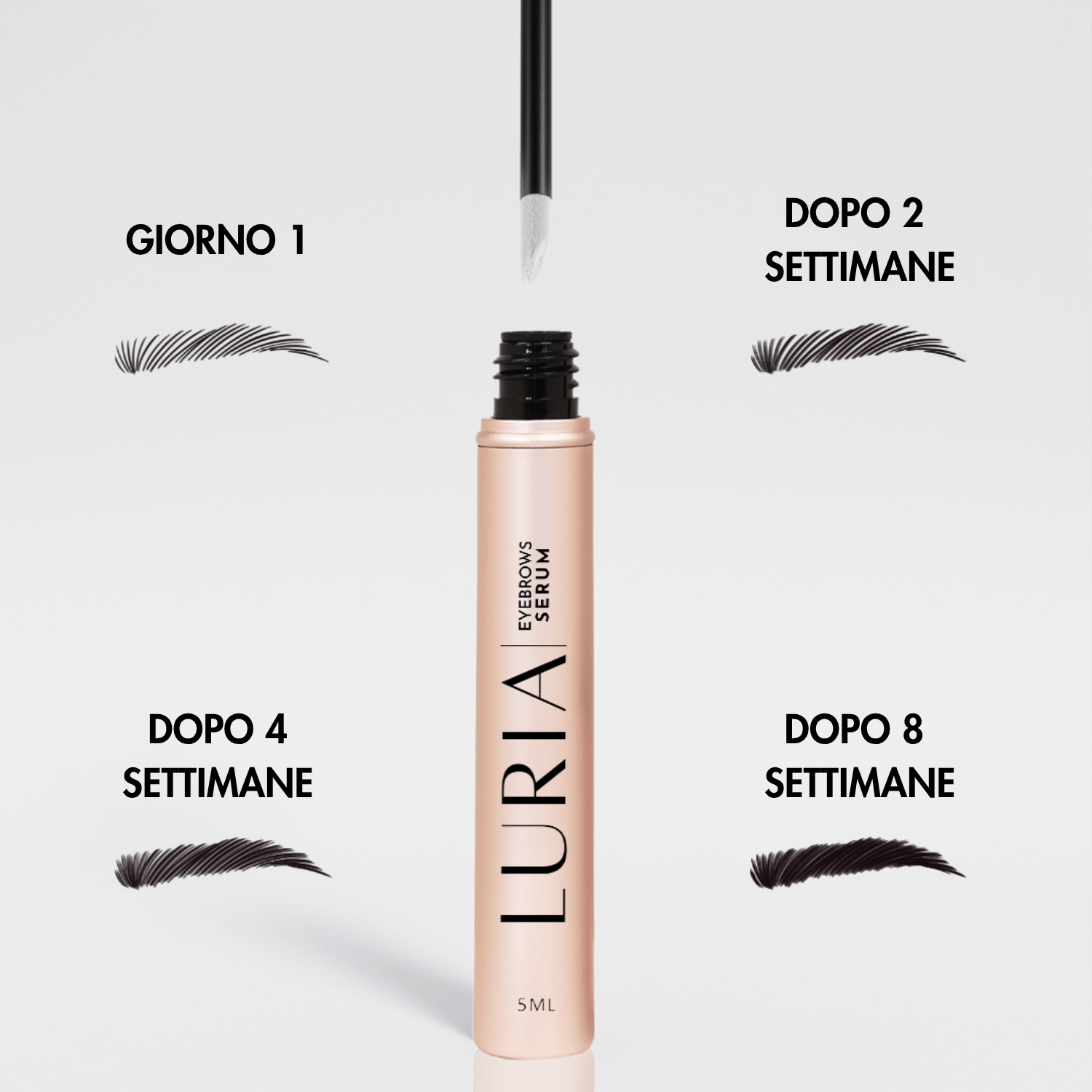 SIERO PER SOPRACCIGLIA