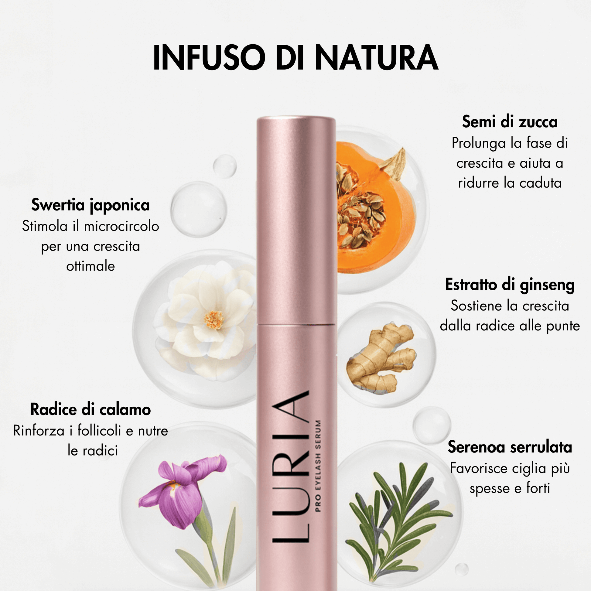 Siero per ciglia LURIA con estratti naturali di ginseng, semi di zucca, swertia japonica e radice di calamo.