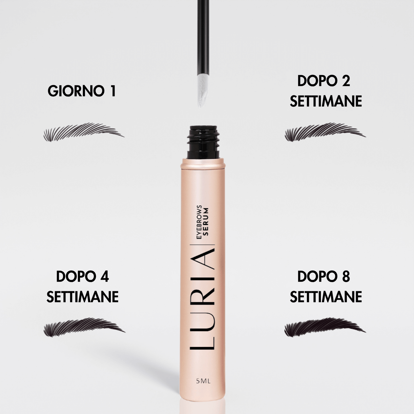 SIERO PER SOPRACCIGLIA