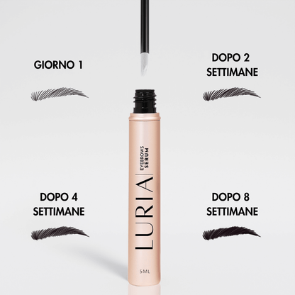 SIERO PER SOPRACCIGLIA